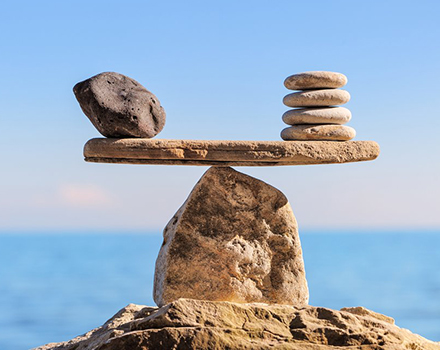 Weight Management Support
